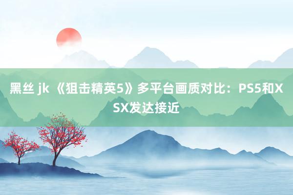 黑丝 jk 《狙击精英5》多平台画质对比：PS5和XSX发达接近