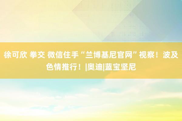 徐可欣 拳交 微信住手“兰博基尼官网”视察！波及色情推行！|奥迪|蓝宝坚尼