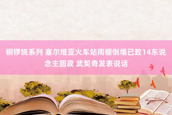 铜锣烧系列 塞尔维亚火车站雨棚倒塌已致14东说念主圆寂 武契奇发表说话